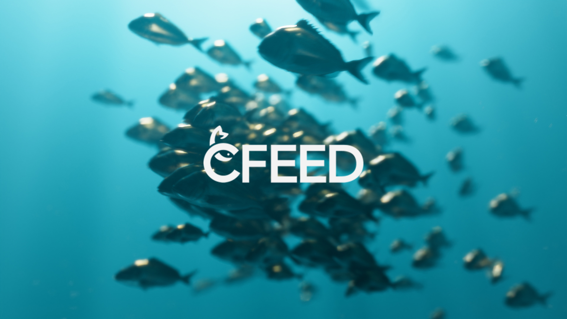 C-Pods - CFEED